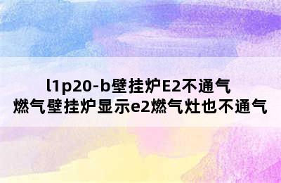 l1p20-b壁挂炉E2不通气 燃气壁挂炉显示e2燃气灶也不通气